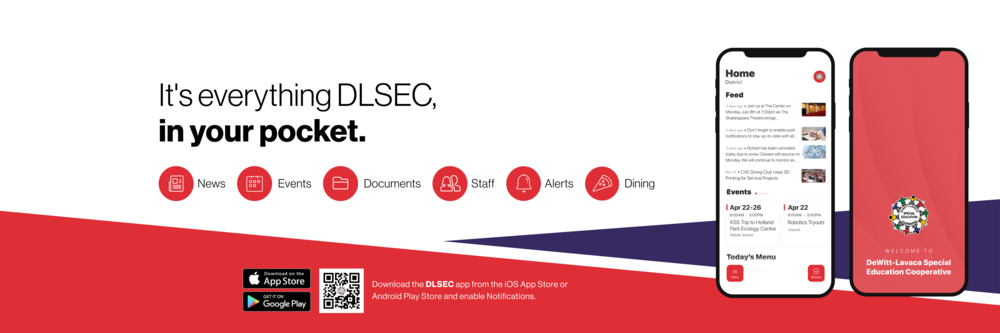 It's everything DLSEC in your pocket marketing ad