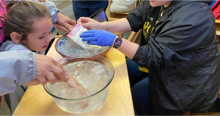 student participating in blubber experiment